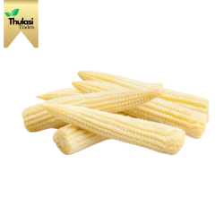 Thulasi Traders - Fresh Organic Baby Corn - Tender Culinary Delight