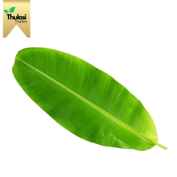 Natural Banana Leaf - Eco-Friendly Serving - Thulasi Traders