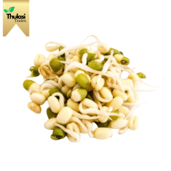 Fresh Bean Sprouts - Crunchy and Nutrient-Packed - Thulasi Traders