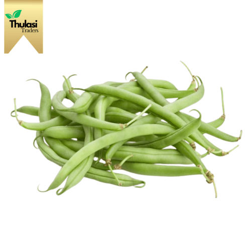 Premium White Beans - Creamy Texture - Thulasi Traders