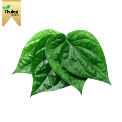 Betel Leaves (Vethalai) - Locally sourced leaves by Thulasi Traders. Perfect for enhancing culinary creations and cultural rituals with authentic flavor.