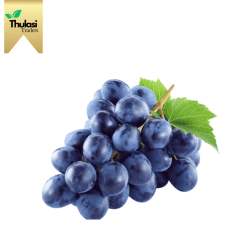 Black Juice Grapes - Bursting with freshness and rich juice sourced by Thulasi Traders. Perfect for refreshing beverages. Among the best Vegetables and Fruits in Chennai.