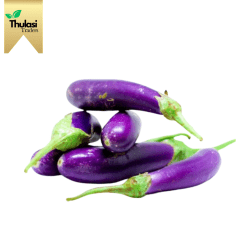 Ujala Brinjal - Locally sourced Ujala brinjals by Thulasi Traders. Perfect for enhancing culinary creations with authentic flavor and nutritional benefits.