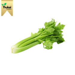 Fresh Celery 100g - Locally sourced celery by Thulasi Traders. Perfect for enhancing culinary creations with a crunchy and nutritious twist.