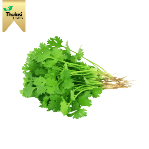 Coriander Leaves 100g - Locally sourced coriander leaves by Thulasi Traders. Perfect for enhancing culinary creations with a vibrant and aromatic flavor.