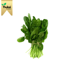 Fresh Country Palak (Pasalai Keerai) - Locally sourced green leafy vegetable by Thulasi Traders. Perfect for enhancing culinary creations with a nutritious twist.