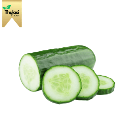 Fresh Cucumber Herbal - Locally sourced cucumber variety by Thulasi Traders. Perfect for enhancing culinary creations with a refreshing and nutritious twist.