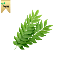 Curry Leaves 250g - Locally sourced curry leaves by Thulasi Traders. Perfect for enhancing culinary creations with a fragrant and aromatic flavor.