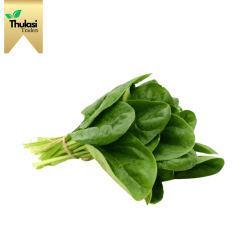 Fresh Delhi Palak 300g - Locally sourced spinach by Thulasi Traders. Perfect for enhancing culinary creations with a nutritious and flavorful twist.