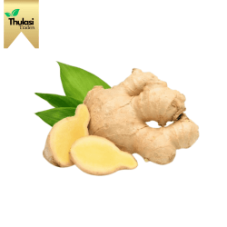 Dry Ginger 100g - Premium quality dry ginger by Thulasi Traders. Perfect for enhancing culinary creations with rich flavor.