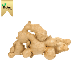 Fresh Ginger 250g - Locally sourced fresh ginger by Thulasi Traders. Perfect for enhancing culinary creations with a zesty and aromatic flavor.