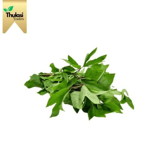 Fresh Gongura 300g - Locally sourced sorrel leaf by Thulasi Traders. Perfect for enhancing culinary creations with a tangy and nutritious twist.