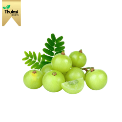 Fresh Gooseberry (Amla) 500g - Locally sourced fruit by Thulasi Traders. Perfect for enhancing culinary creations with a tangy and vitamin-rich twist.