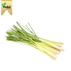 Fresh Lemon Grass 250g - Locally sourced herb by Thulasi Traders. Perfect for enhancing culinary creations with citrusy aroma and health benefits.