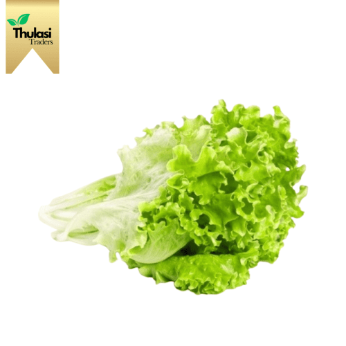 Fresh Lettuce Green 500g - Locally sourced leafy green by Thulasi Traders. Perfect for enhancing culinary creations with crispiness and health benefits.