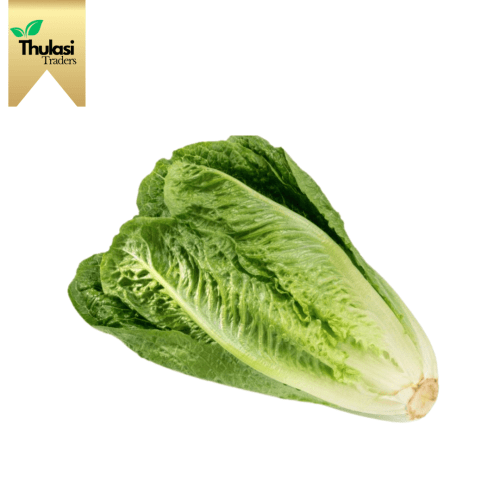 Fresh Lettuce Romaine 250g - Locally sourced lettuce variety by Thulasi Traders. Perfect for enhancing culinary creations with crispiness and health benefits.