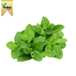 Mint Leaves - Locally sourced mint leaves by Thulasi Traders. Perfect for enhancing culinary creations with a refreshing and aromatic flavor.