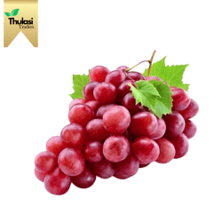 Red Globe Grapes Imported - Sweet and juicy goodness sourced by Thulasi Traders. A perfect addition to culinary delights. Among the best Vegetables and Fruits in Chennai.