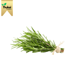 Fresh Rosemary 100g - Locally sourced fragrant herb by Thulasi Traders. Perfect for enhancing culinary creations with aromatic flavor and culinary versatility. Among the best vegetables and fruits in Chennai.