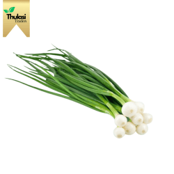 Fresh Spring Onions - Locally sourced onions by Thulasi Traders. Perfect for enhancing culinary creations with crisp freshness and mild flavor.