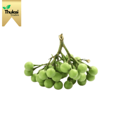 Fresh Sundaikkai 500g - Locally sourced vegetable by Thulasi Traders. Perfect for enhancing culinary creations with tangy and nutritious goodness.