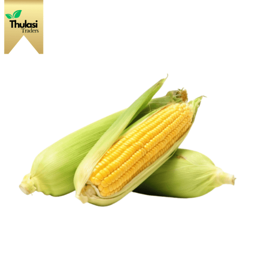 Fresh Sweet Corn - Locally sourced corn by Thulasi Traders. Perfect for enhancing culinary creations with sweet and juicy goodness. Among the best vegetables and fruits in Chennai.