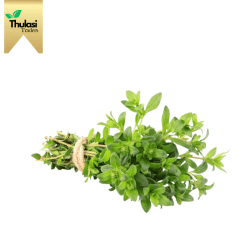 Fresh Thyme 100g - Locally sourced herb by Thulasi Traders. Perfect for enhancing culinary creations with aromatic goodness and health benefits.