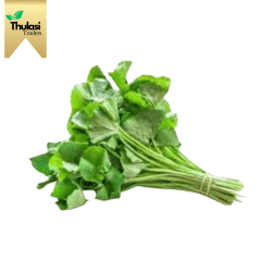 Fresh Vallarai Keerai - Locally sourced herb by Thulasi Traders. Perfect for enhancing culinary creations with a unique and healthy twist.