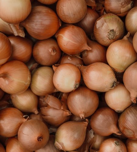 Prime West Bengal Onions - Thulasi Traders