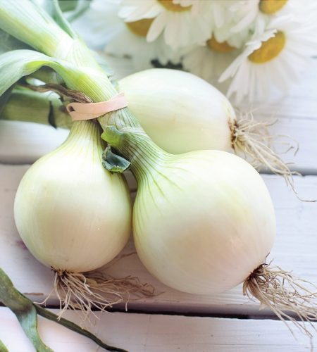 Premium Andhra White Onions - Thulasi Traders