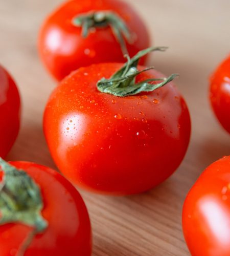 Premium Fresh Tomatoes - Thulasi Traders